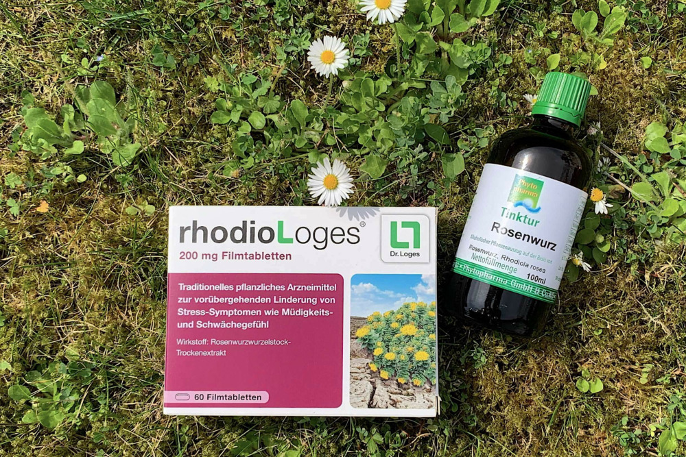 Rhodiola, Rosenwurz