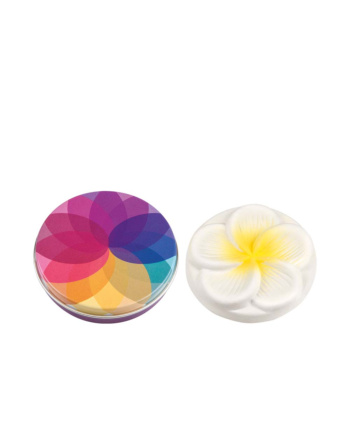TAOASIS Mini Duftstein Frangipani mit Duftsteindose