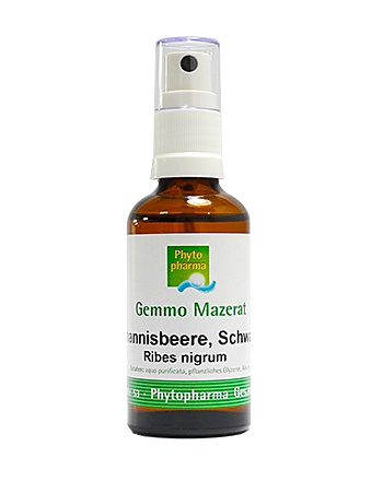Phytopharma Johannisbeere Spray Gemmomazerat 100ml