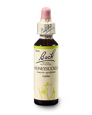 Bachblüten Nr.16-  Honeysuckle 20 ml