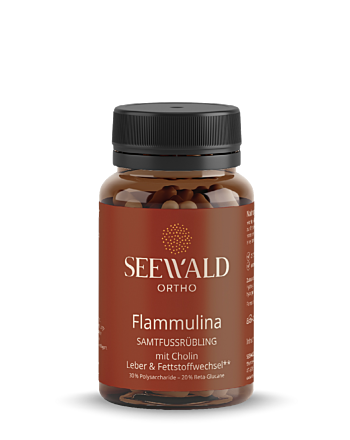 Seewald Flammulina Extrakt 60 Stk