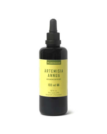 KASIMIR UND LIESELOTTE – ARTEMISIA ANNUA PFLANZENAUSZUG