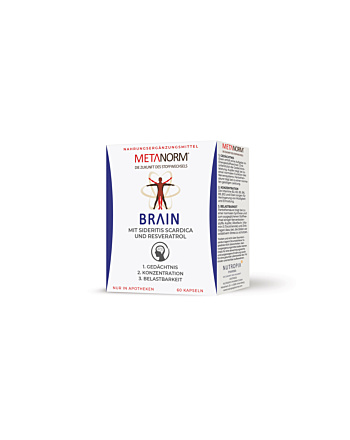 Metanorm Brain Fit Kapseln 