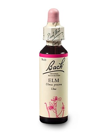 Bachblüten Nr.11-  Elm 20 ml