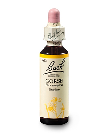 Bachblüten Nr.13-  Gorse 20 ml