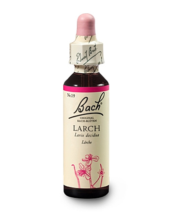 Bachblüten Nr.19-  Larch 20 ml