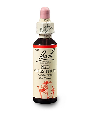 Bachblüten Nr.25  Red Chestnut 20 ml