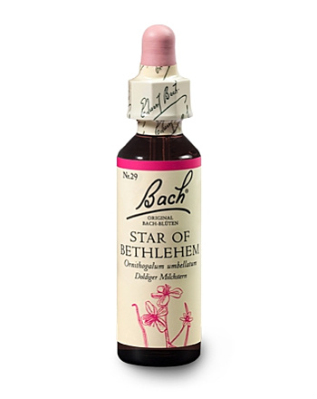 Bachblüten Nr.29-  Star of Bethlehem 20 ml