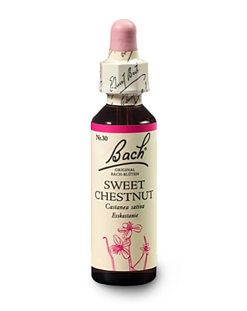 Bachblüten Nr.30-  Sweet Chestnut 20 ml