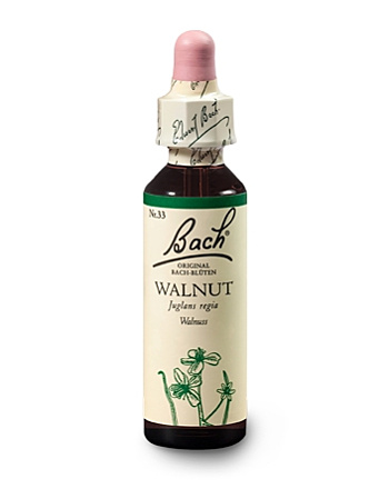 Bachblüten Nr.33-  Walnut 20 ml