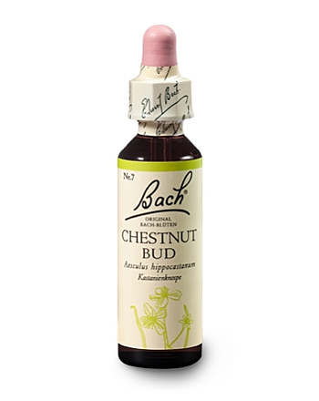 Bachblüten Nr.7-  Chestnut Bud 20 ml