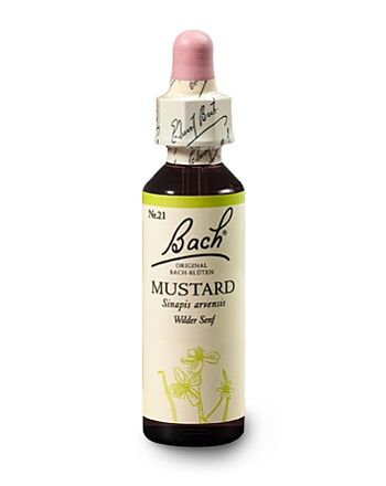 Bachblüten Nr.21-  Mustard 20 ml