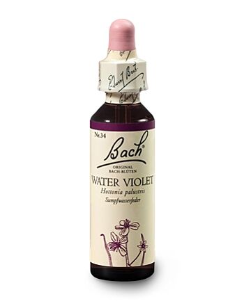 Bachblüten Nr.34-  Water Violet 20 ml