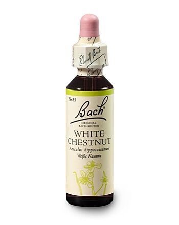 Bachblüten Nr.35-  White Chestnut 20 ml