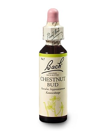 Bachblüten Nr.7-  Chestnut Bud 20 ml