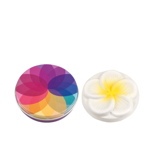 TAOASIS Mini Duftstein Frangipani mit Duftsteindose