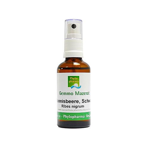 Phytopharma Johannisbeere Spray Gemmomazerat
