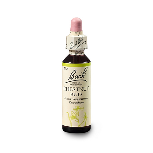Bachblüten Nr.7-  Chestnut Bud 20 ml