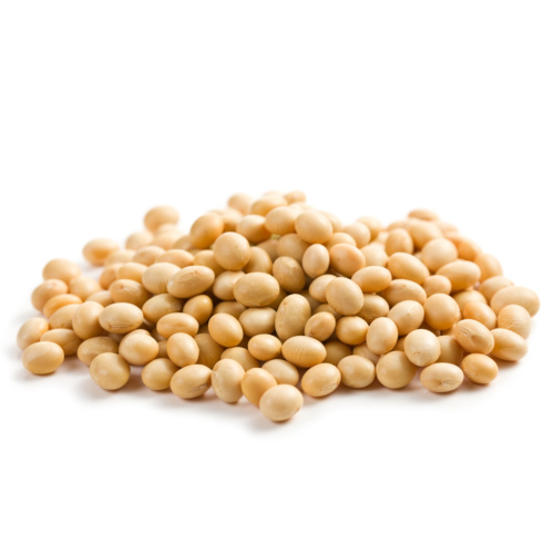 Soja-Lecithin Bio 100g