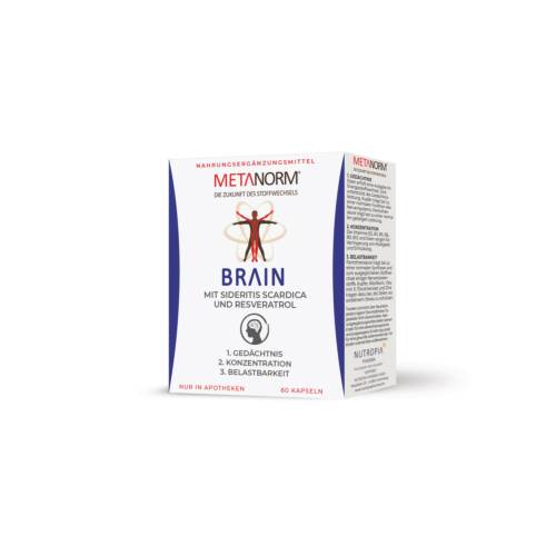 Metanorm Brain Fit Kapseln 