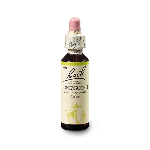 Bachblüten Nr.16-  Honeysuckle 20 ml