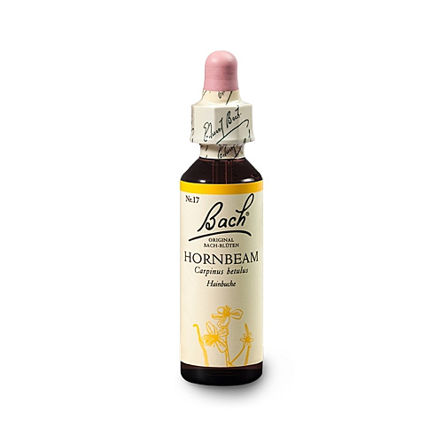 Bachblüten Nr.17-  Hornbeam 20 ml