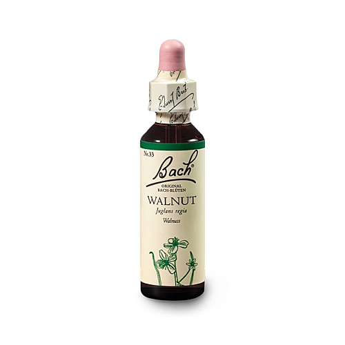 Bachblüten Nr.33-  Walnut 20 ml