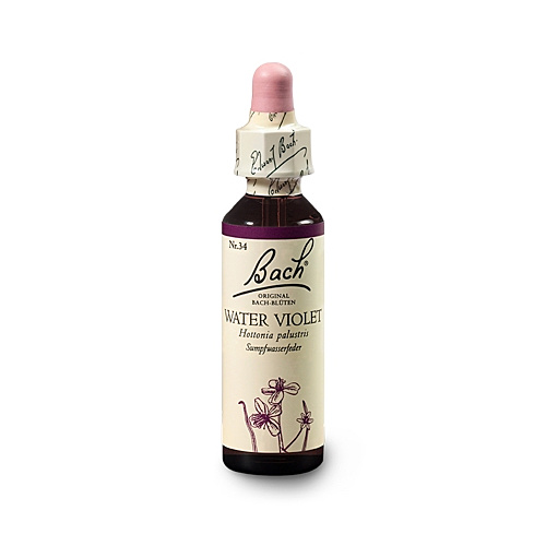 Bachblüten Nr.34-  Water Violet 20 ml