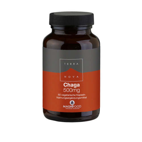 Terra Nova Chaga 500mg Kapseln 